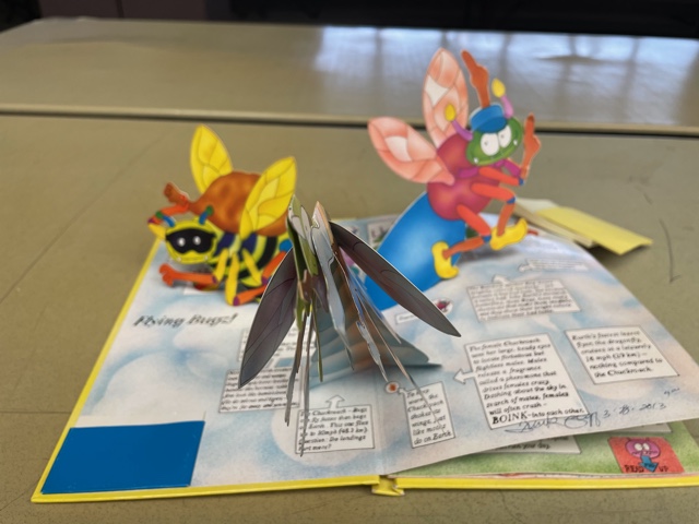 Picture of pop-up book